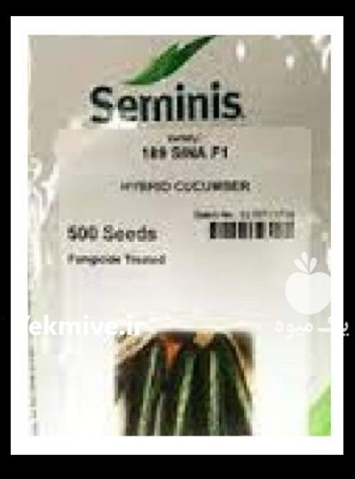 قیمت بذر خیار شاهین سمینیس در بنت در گروه خرید و فروش بذر خیار در یکمیوه -عکس1