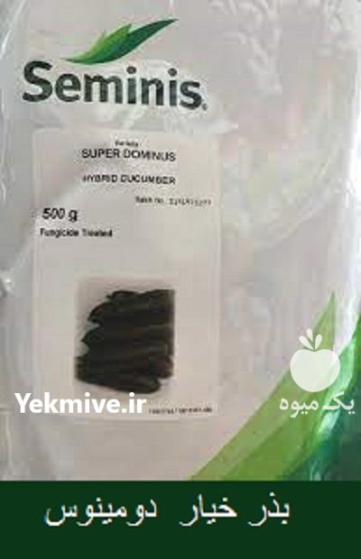 قیمت بذر خیار دومینوس در افزر در گروه خرید و فروش بذر خیار در یکمیوه -عکس1