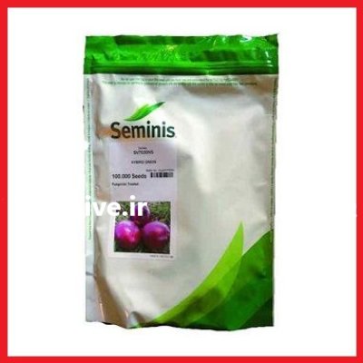 فروش بذر پیاز قرمز 7030 سمینیس در کرمان  در گروه خرید و فروش بذر پیاز در یکمیوه -عکس1