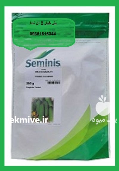 فروش بذر خیار 2 N NADA در گروه خرید و فروش بذر خیار در یکمیوه -عکس1
