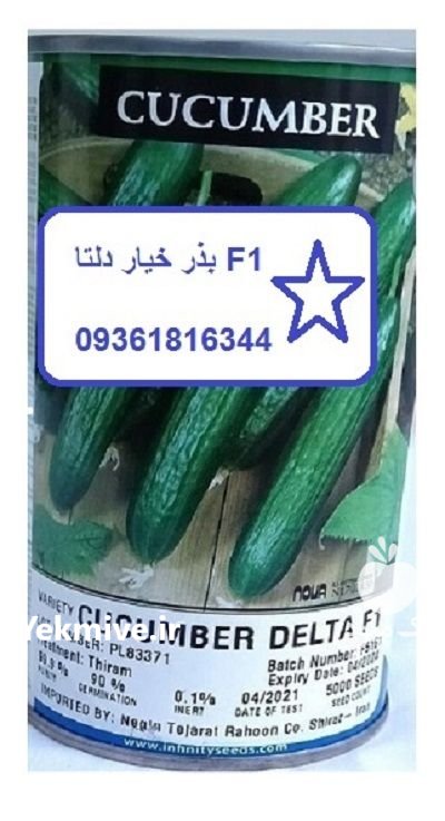 عرضه بذر خیار دلتا اف یک در آبیک در گروه خرید و فروش بذر خیار در یکمیوه -عکس1