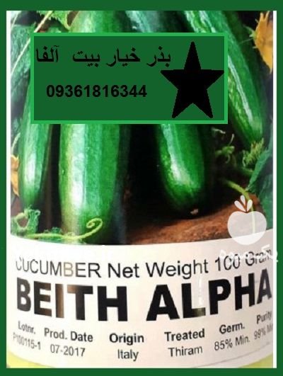 عرضه بذر خیار بیت آلفا در آبدان در گروه خرید و فروش بذر خیار در یکمیوه -عکس1