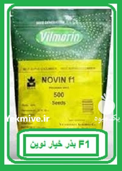 قیمت بذر خیار نوین اف یک در بروجن در گروه خرید و فروش بذر خیار در یکمیوه -عکس1