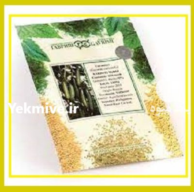 قیمت بذر خیار گلخانه ای کریم در باغستان در گروه خرید و فروش بذر خیار در یکمیوه -عکس1