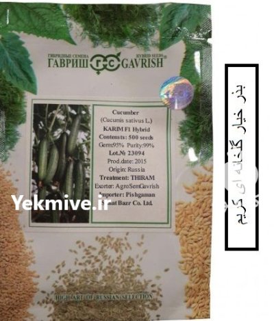 قیمت بذر خیار گلخانه ای کریم در باغستان در گروه خرید و فروش بذر خیار در یکمیوه -عکس2