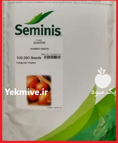 فروش بذر پیاز زرد داستر سمینیس در اهواز در گروه خرید و فروش بذر پیاز در یکمیوه -عکس1