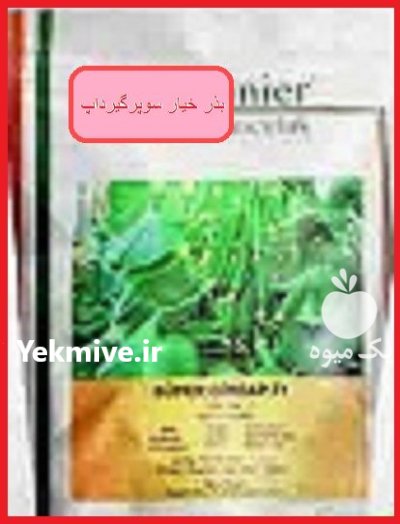 عرضه بذر خیار سوپرگیرداپ در آبدان در گروه خرید و فروش بذر خیار در یکمیوه -عکس1