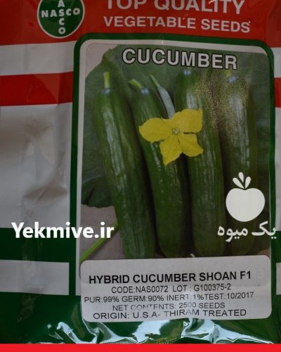عرضه بذر خیار شوان در گروه خرید و فروش بذر خیار در یکمیوه -عکس1