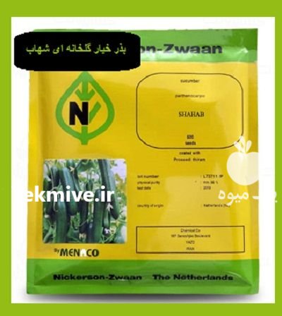 عرضه بذر خیار گلخانه ای شهاب در آبعلی در گروه خرید و فروش بذر خیار در یکمیوه -عکس1