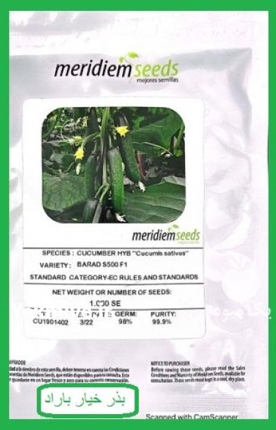 عرضه بذر خیار باراد در اقلید در گروه خرید و فروش بذر خیار در یکمیوه -عکس1