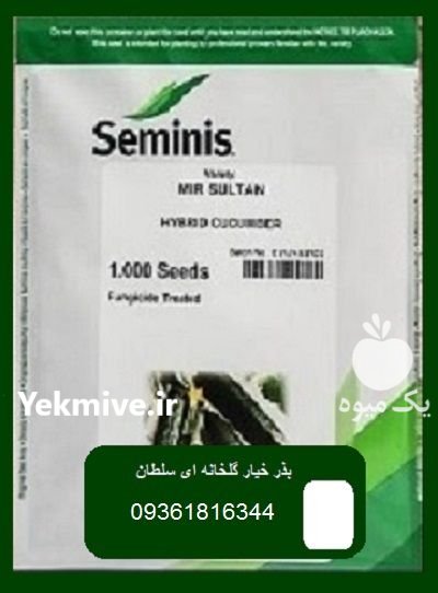 قیمت بذر خیار سلطان در آواجیق در گروه خرید و فروش بذر خیار در یکمیوه -عکس1