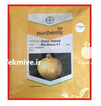 فروش بذر پیاز زرد ریوبراوو در گروه خرید و فروش بذر پیاز در یکمیوه -عکس1