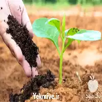 فروش کود ورمی کمپوست در گروه خرید و فروش کود کمپوست در یکمیوه