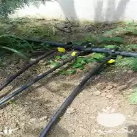 اجرای آبیاری بارانی در گروه خدمات باغبانی در یکمیوه