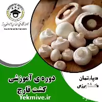 دوره آموزشی قارچ شاه صدف گانودرما در اصفهان در گروه دوره آموزش کشاورزی در یکمیوه