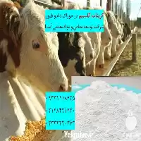 فروش ویژه کربنات کلسیم خوراک دام در تهران در گروه خوراک دام و طیور در یکمیوه