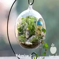 دوره آموزشی ساخت تراریوم و ویواریوم در گروه دوره آموزش کشاورزی در یکمیوه