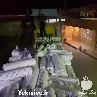 تولید نایلون گلخانه در گروه خرید و فروش بسته بندی نایلونی در یکمیوه