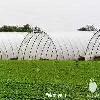 فروش مشاور اجرای سیستم آبیاری و استخرکشاور زی در گروه خرید و فروش دستگاه آبیاری در یکمیوه