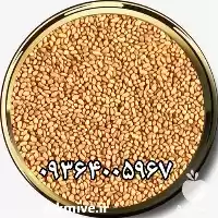 مرکز فروش بذر یونجه در اصفهان در گروه خرید و فروش بذر یونجه در یکمیوه