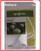 فروش بذر هندوانه دبلیو دی 8040 در اهواز در گروه خرید و فروش بذر هندوانه در یکمیوه