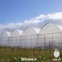 قیمت خرید عرضه و پخش نایلون در گروه خرید و فروش انواع پوشش ها در یکمیوه