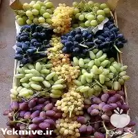 خرید و فروش نهال انگور در گروه خرید و فروش نهال انگور در یکمیوه