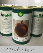 قیمت بذر پیاز میگون فلات در باغ ملک در گروه خرید و فروش بذر پیاز در یکمیوه