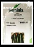 قیمت بذر خیار شاهین سمینیس در بنت در گروه خرید و فروش بذر خیار در یکمیوه