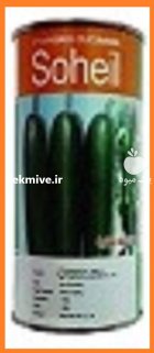 قیمت بذر خیار گلخانه ای سهیل در اوز در گروه خرید و فروش بذر خیار در یکمیوه