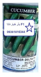 عرضه بذر خیار دلتا اف یک در آبیک در گروه خرید و فروش بذر خیار در یکمیوه