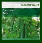 فروش بذر خیار داتیس در آب بر در گروه خرید و فروش بذر خیار در یکمیوه