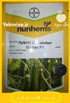 عرضه بذر خیار گلخانه ای گوهر در درجزین در گروه خرید و فروش بذر خیار در یکمیوه