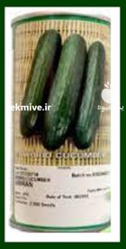 قیمت بذر خیار آمیران در آرین شهر در گروه خرید و فروش بذر خیار در یکمیوه
