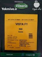 عرضه بذر خیار ویستا پرگل در باقرشهر در گروه خرید و فروش بذر خیار در یکمیوه