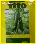 فروش بذر خیار کادیرا در پردیس در گروه خرید و فروش بذر خیار در یکمیوه