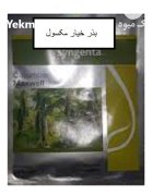 فروش بذر خیار مکسول در گروه خرید و فروش بذر خیار در یکمیوه