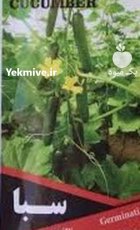 فروش بذر خیار سبا اف یک در گروه خرید و فروش بذر خیار در یکمیوه