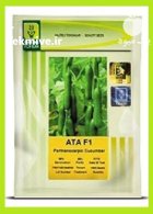 فروش بذر خیار گلخانه ای آ در بیرجند در گروه خرید و فروش بذر خیار در یکمیوه