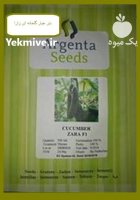 فروش بذر خیار گلخانه ای زارا در بندردیر در گروه خرید و فروش بذر خیار در یکمیوه