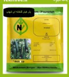 عرضه بذر خیار گلخانه ای شهاب در آبعلی در گروه خرید و فروش بذر خیار در یکمیوه