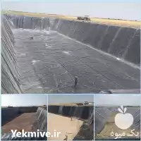 فروش ورق های ژئوممبران در گروه خرید و فروش ژئوممبران و ژئوتکستایل در یکمیوه