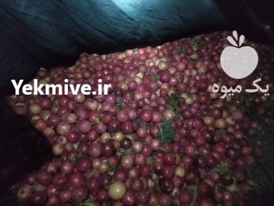 انار ملس در اصفهان در گروه خرید و فروش انار در یکمیوه -عکس4