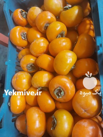 خرمالو شهریار سایز صادراتی در گروه خرید و فروش خرمالو در یکمیوه -عکس1