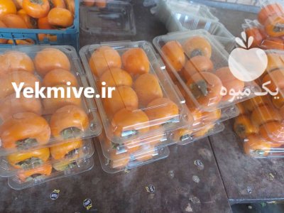 خرمالو شهریار سایز صادراتی در گروه خرید و فروش خرمالو در یکمیوه -عکس2
