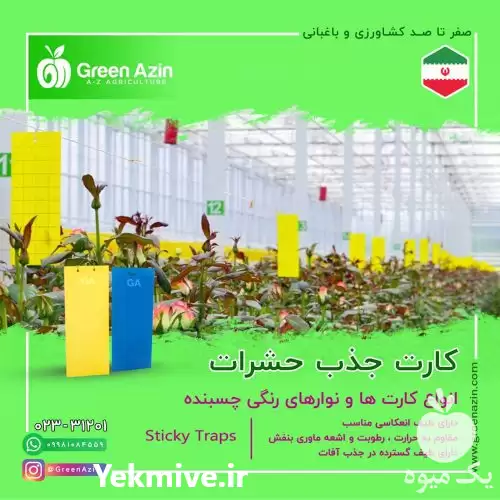قیمت خرید عمده کارت جذب حشرات در سمنان در گروه خرید و فروش انواع تجهیزات کشاورزی در یکمیوه -عکس1
