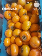 خرمالو شهریار سایز صادراتی در گروه خرید و فروش خرمالو در یکمیوه