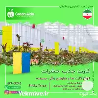 قیمت خرید عمده کارت جذب حشرات در سمنان در گروه خرید و فروش انواع تجهیزات کشاورزی در یکمیوه