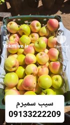 سیب زرد سمیرم در اصفهان در گروه خرید و فروش سیب در یکمیوه