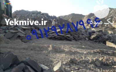 فروش سنگ لاشه مالون دماوند در گروه سازنده در یکمیوه -عکس1